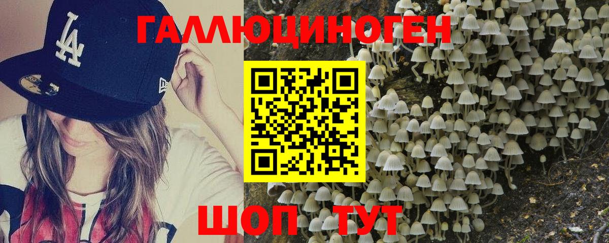 Троицк  Галлюциногенные грибы прущие грибы  Вход с VPN  Галлюциногенные грибы Psilocybe 