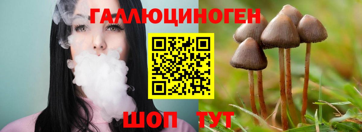 Псилоцибиновые грибы Psilocybe Троицк